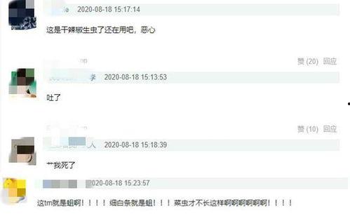 火锅店最新爆料视频下载,火辣幕后大揭秘!